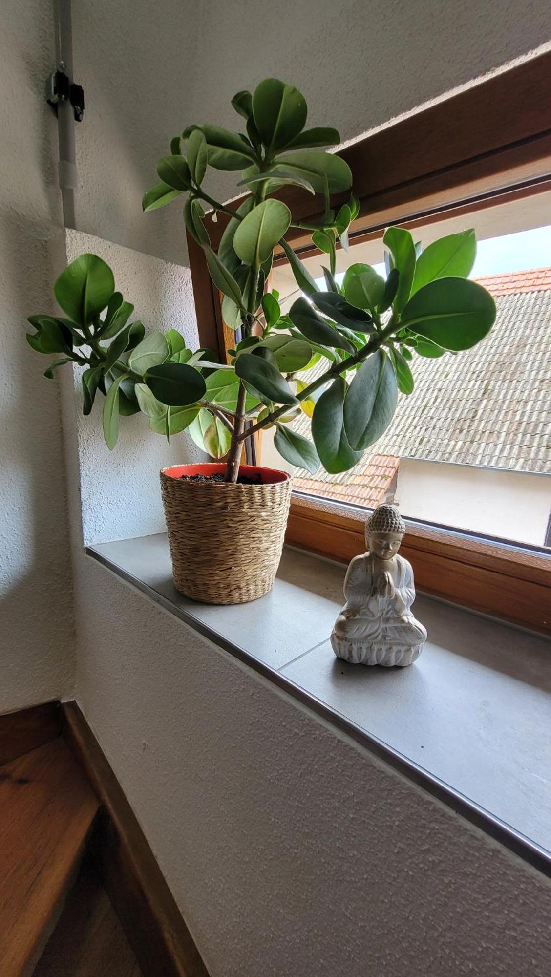 Das Hoefchen Stadecken 외부 사진